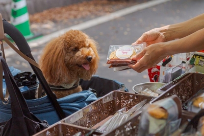 nWmlqqyDHvxuSMQsKVmA.jpg?w=940&h=940