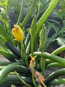 nXcCPgOa9pbpUJb90k9e.jpg?w=940&h=940