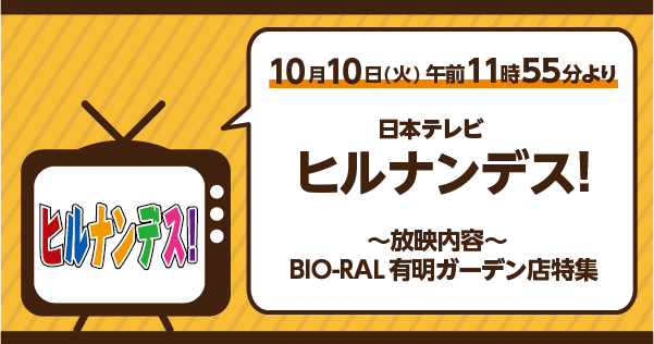 10/10（火）にビオラルが日本テレビ「ヒルナンデス！」で紹介されます！