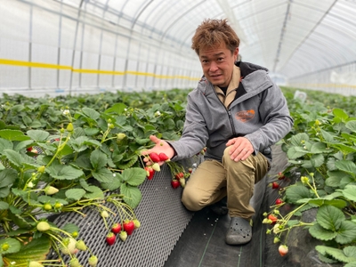 na26NAGgOKJ0g1dWNQWf.jpg?w=940&h=940