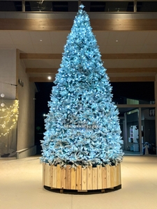 na8euAr5P2MfP6PjBSjo.JPEG?w=940&h=940