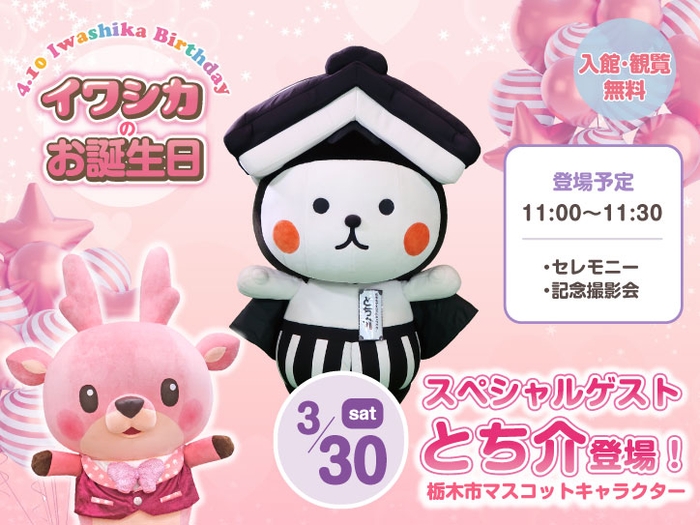 【3月30日】栃木市マスコットキャラクター「とち介」