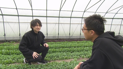 nav8GzIOyTMFjTEHtGhg.jpg?w=940&h=940