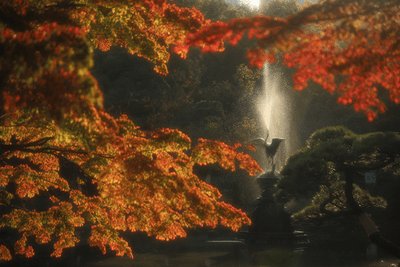 ndOaXhYbI8UQJpwAffOn.png?w=940&h=940