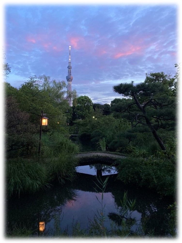 虫ききの会(過年度開催の様子)