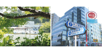 neItP20S6F3rQiDUUCwP.png?w=940&h=940