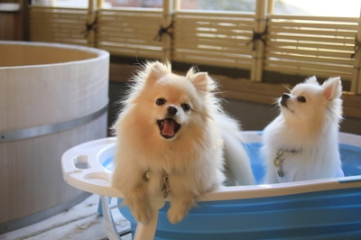 nen6zLxq9RO9ndS6JnwO.jpg?w=940&h=940