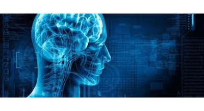 newMM7s0nnlMlT9bxFDj.png?w=940&h=940