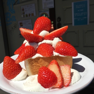 nfJAlUSGuItZ5RuZ4b4X.jpg?w=940&h=940