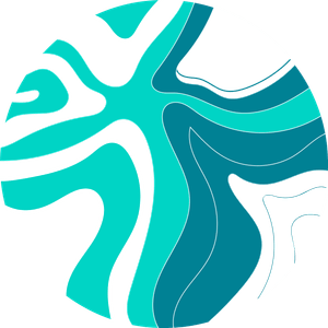 nfd7NDgiKhKk54olFw0U.png?w=940&h=940