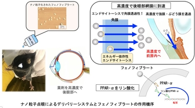 nflEr9plYOxr1GnWqFfT.jpg?w=940&h=940