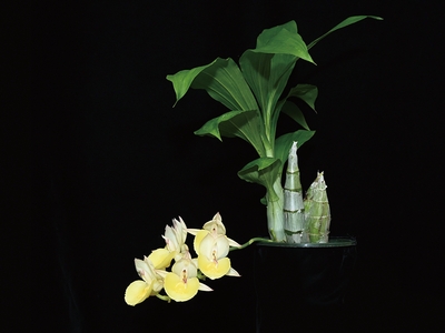 nhAF7I1AIhPgas5tb5aZ.jpg?w=940&h=940