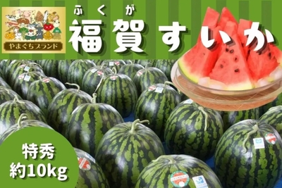 やまぐちブランド_１株１果どり_福賀すいか