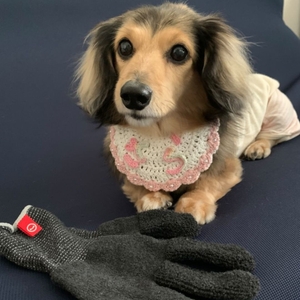 nhuEDYEtVvfPlDtWGEXm.jpg?w=940&h=940