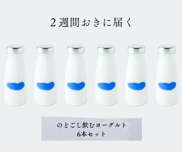 定期便 のどごし飲むヨーグルト6本分