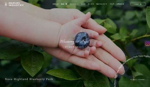 【Nasu Highland Blueberry Park】 那須高原の大自然が育んだ至極の逸品！ 大粒プレミアム生ブルーベリー＆瞬間冷凍ブルーベリー、7月1日(火)よりECサイトにて販売開始！