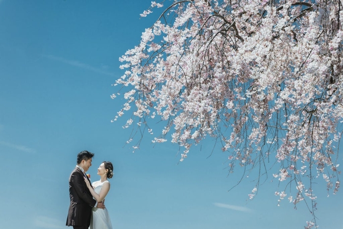 撮影:石橋 英祐