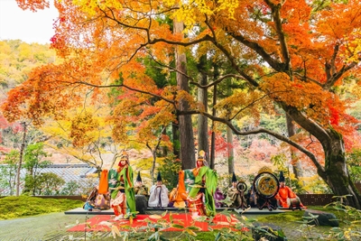 nlgqtx5NSVJRIwWE9NbR.jpg?w=940&h=940