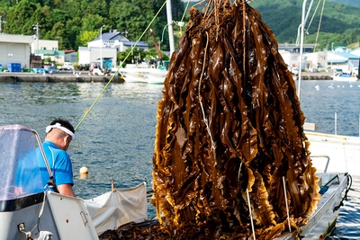 nllCuMoJ7ntxMFBhXas1.jpg?w=940&h=940