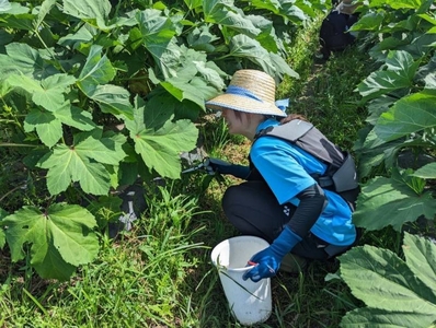 nlt2UMQ5jTWvfrOu7bde.jpg?w=940&h=940