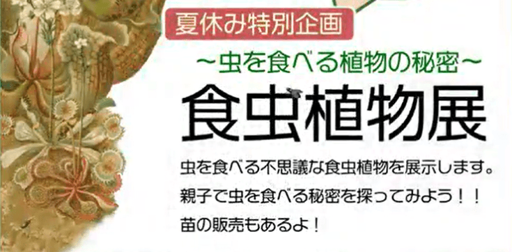 【神代植物公園】8/9まで　夏休み特別企画「～虫を食べる植物の秘密～『食虫植物展』」