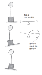 安定して駈足(かけあし)するための姿勢を紹介