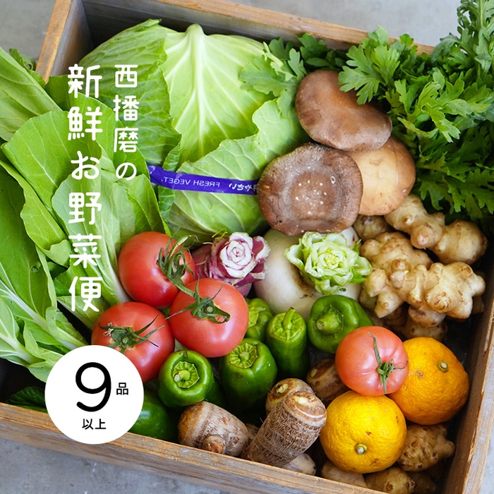西播磨 新鮮お野菜便