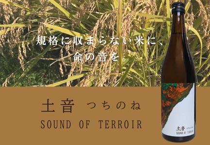 【新商品】“等外米”に命を吹き込むサステナブルな一杯　柴田屋酒店×田中酒造店「土音（つちのね）sound of terroir」誕生