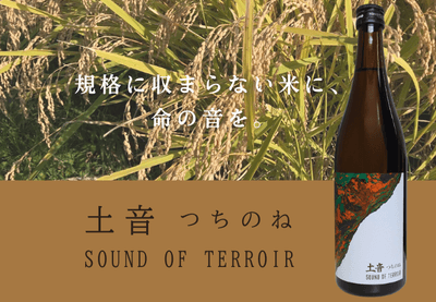 no8rozA5IUTeeOz1nnt0.png?w=940&h=940