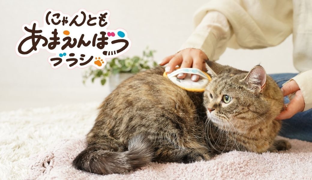 服についた抜け毛も取れる猫用グルーミングブラシ発売 猫舌によく似た