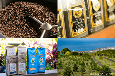 noUeocuouQuiLmAuJv5T.png?w=940&h=940