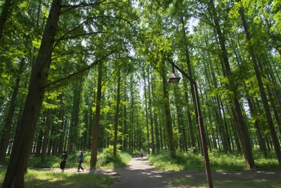 nosip1YDMvABUY4qoWtV.jpg?w=940&h=940