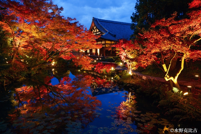 逆さ紅葉が美しい庭園のライトアップ