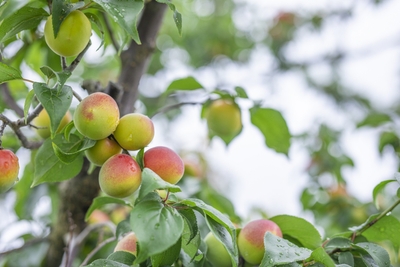 nrHHXOSdeSPWrTBlnrvX.jpg?w=940&h=940