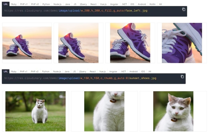 URL内にサイズ表示