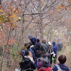 ntj0AVfgThH1JfDWn2ye.jpg?w=940&h=940