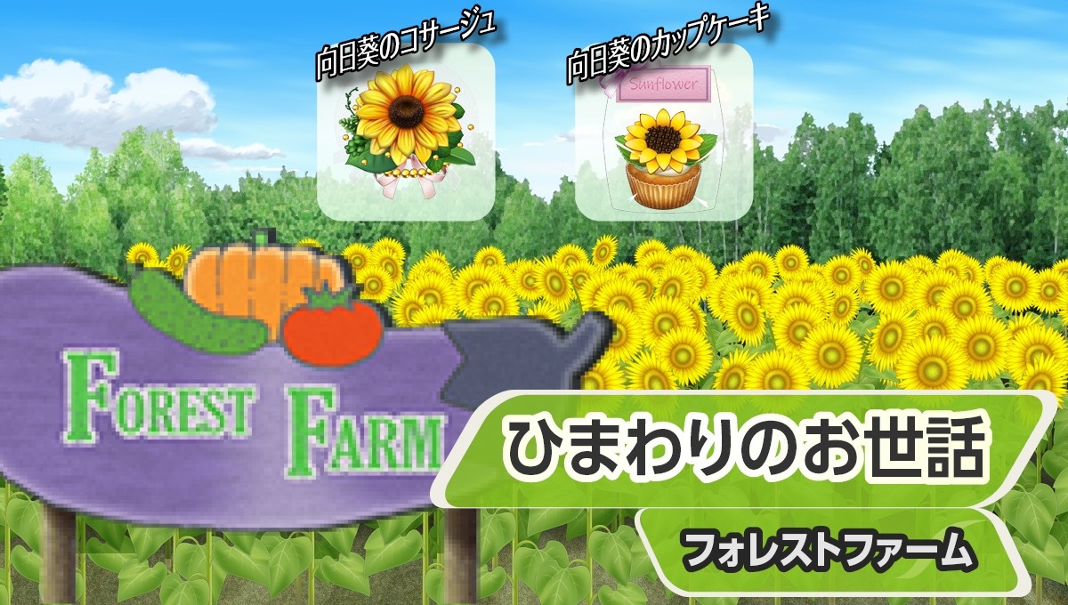 『ひまわりのお世話』