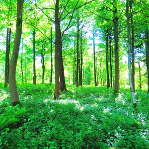 nuH2ud3kWElMKMUoUlsc.jpg?w=940&h=940