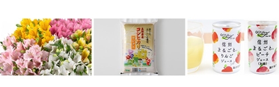 （左から）アルストロメリア、氷温熟成米（コシヒカリ）、信州産りんごジュースまたは桃ジュース ※写真のお米は5kgのものです。プレゼントでお渡しするのは300gです。