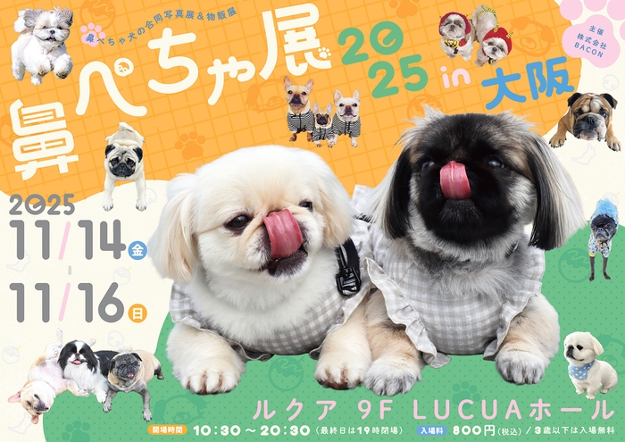 鼻ぺちゃ展 キービジュアル(横)