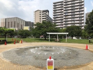 nxj6CEtCsVZ1wK2wVmD4.jpg?w=940&h=940