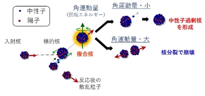 図1 多核子移行反応と中性子過剰核の作り方