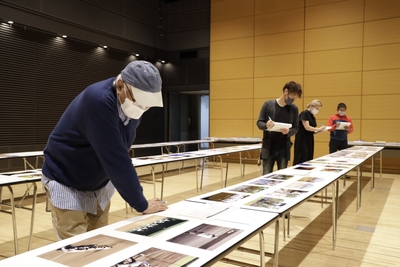 nz2kswDpGjLL6rraW2zY.JPG?w=940&h=940