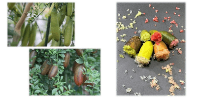 nzZTVTe5TYpEFs8AWrNf.png?w=940&h=940