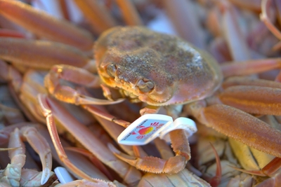 o04BoqbpExRcpjkUaLxj.jpg?w=940&h=940