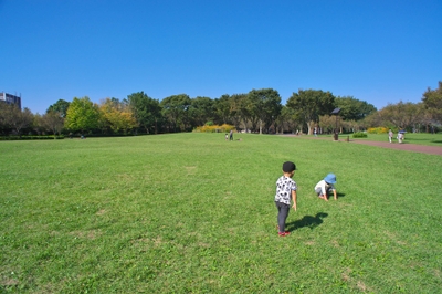 o0Vt5VbYAb4QQZqrkRH3.jpg?w=940&h=940