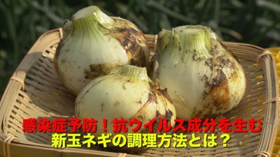 o170mH9gAfkvLZM7vvD3.jpg?w=940&h=940