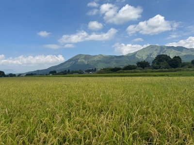 o2IxtKAawUtsAOr8BGca.jpg?w=940&h=940