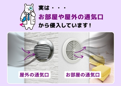 花粉の侵入イメージ