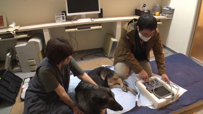 o2yZXNglqKV2V4KcA4Ev.jpg?w=940&h=940